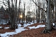 79 Sentiero in faggeta con fondo di foglie e neve